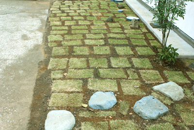 芸術館の前の芝