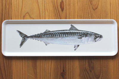 今日は鯖街道ウルトラマラソン