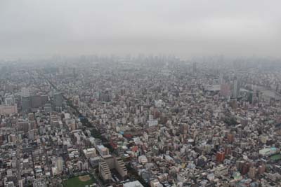 スカイツリーからの眺め