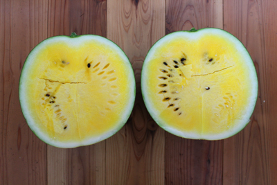 長野の黄色いスイカ