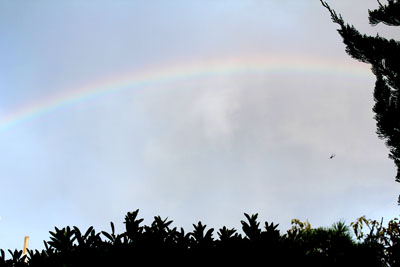 芸術館の空の虹