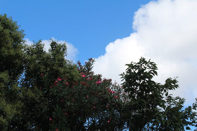 芸術館の前の夏空