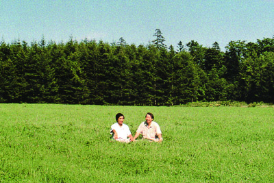 芸術館の前の夏空
