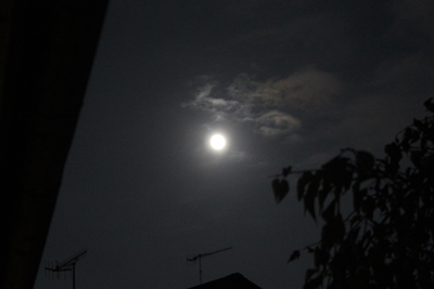 中秋の名月と、満月の中間の月