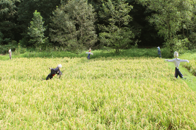 里山公園のかかし