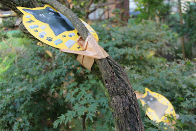 カラス除けの猫写真