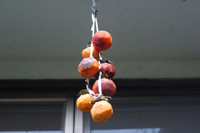 芸術館の庭の柿