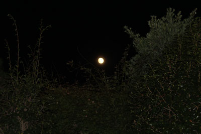 スーパームーンの前日の月