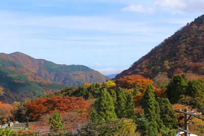 箱根彫刻の森美術館