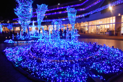 辻堂のイルミネーション