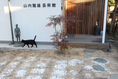 芸術館の庭の雪とクロ