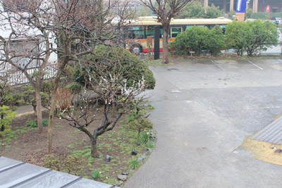 芸術館の前を通るバス