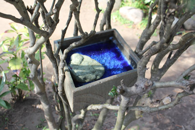 芸術館の鳥の水飲み場