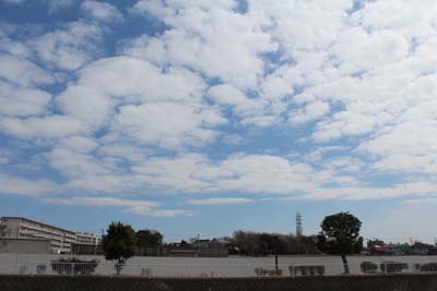 芸術館の近くの空