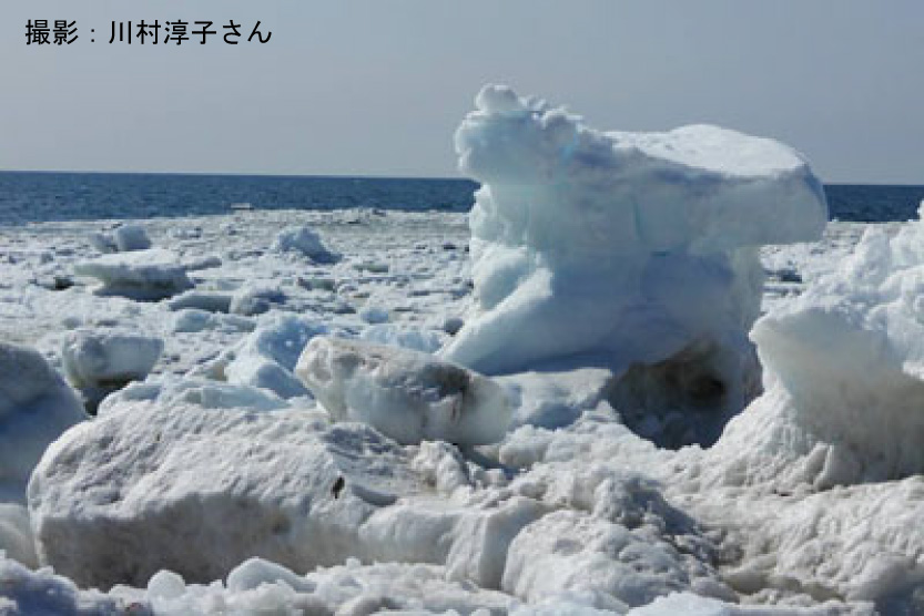 釧路港に来た流氷