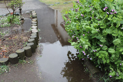 芸術館の前の水たまり