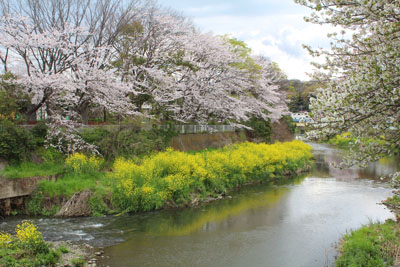 芸術館の近くの引地川