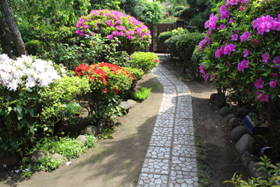 芸術館の庭のつつじ
