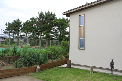 芸術館の裏の松林