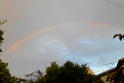 芸術館の上の虹