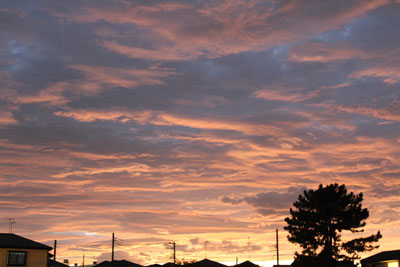 芸術館の夕焼け
