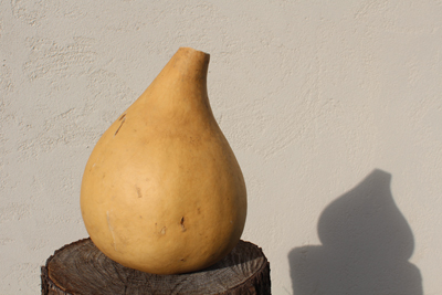 芸術館の庭の瓢箪