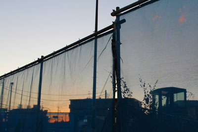 柔道の症状とメダル