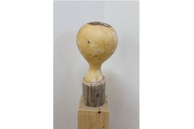 ワタリドリ計画10周年