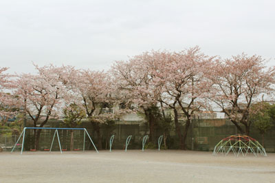 小学校の校庭
