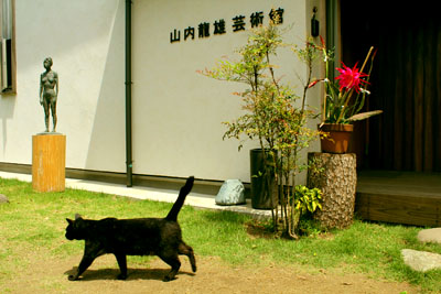 芸術館の孔雀サボテン
