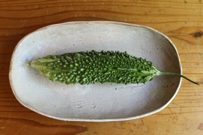 芸術館のゴーヤ