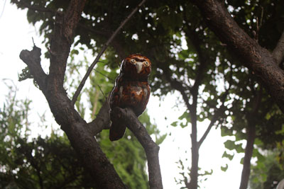 芸術館の庭のフクロウ