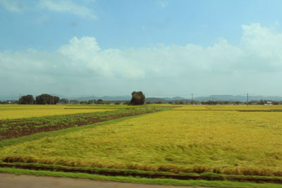 真岡鉄道からの車窓
