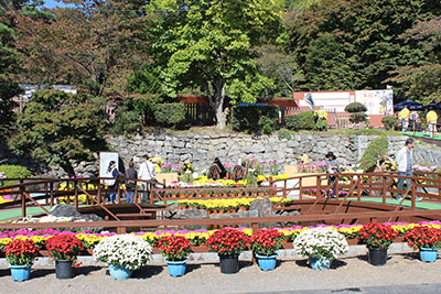 二本松城の菊祭り