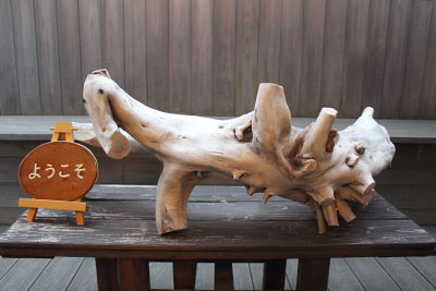 山内龍雄芸術館の新しいペット