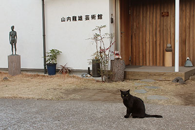 山内龍雄芸術館の黒猫
