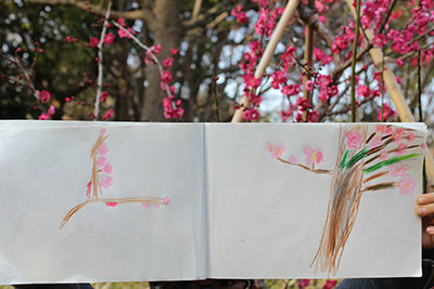 康太の梅のスケッチ