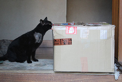 クロとクロネコヤマト