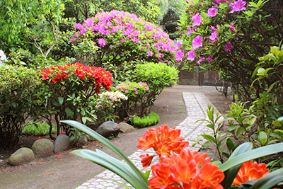 山内龍雄芸術館の庭