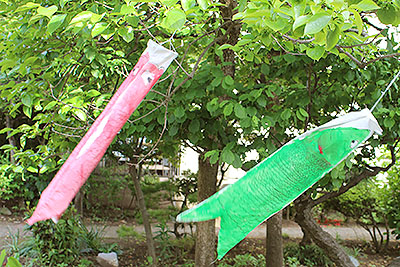 芸術館の鯉のぼり