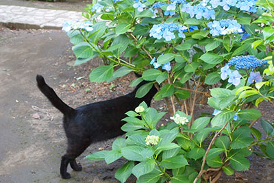 芸術館の庭の陶作品
