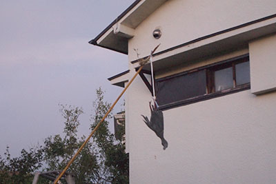 芸術館の案山子