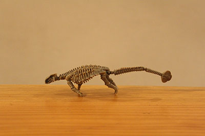 アンキロサウルス