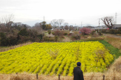 茅ヶ崎里山公園