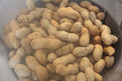 落花生