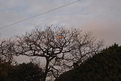 夏の山内龍雄芸術館
