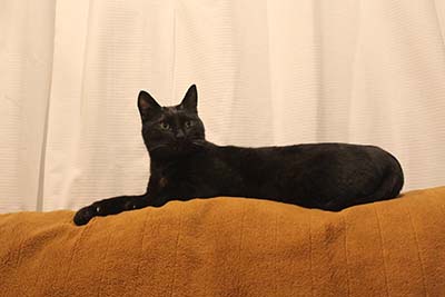 東京都現代美術館