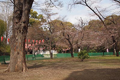 上野公園