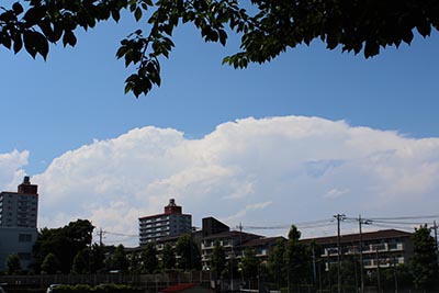 夏の雲