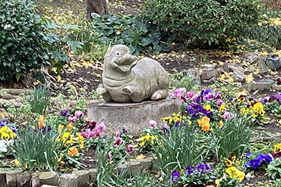 へんないきもの